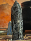 Larkivite Tower