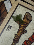 0.2g – 0.3g Moldavite