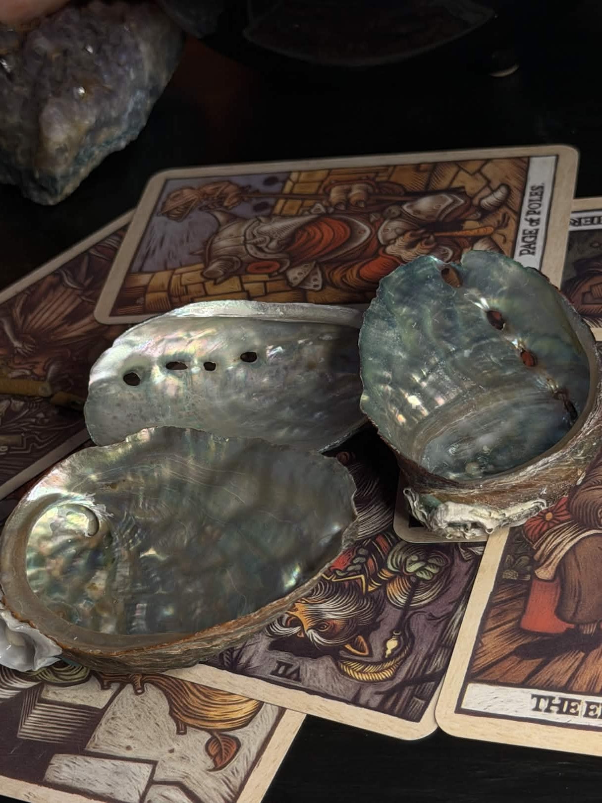 Abalone Shell
