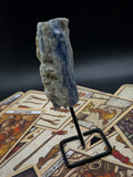Small Blue Kyanite on Stand
